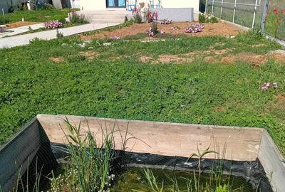 Casa de vanzare Casa de vanzare - 8