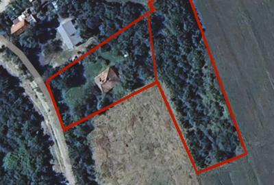 Teren intravilan de 2978 mp, în Derna - 1