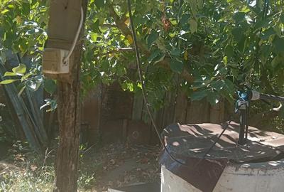 Vand casa la Smirna. PRE? FIX 20.000 EURO - 3