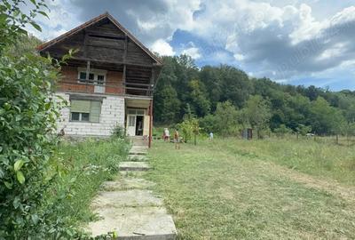Casa de vacanta pt iubitorii de natura! - 3