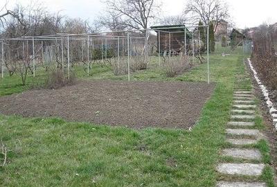 Vânzare casă + teren 3320mp, în Dambul Rotund - 3