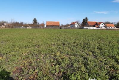 Teren de 2325 mp, în Triaj - 7