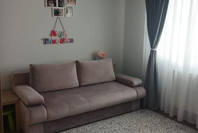 Apartament cu 3 camere decomandat în Olteni - 12