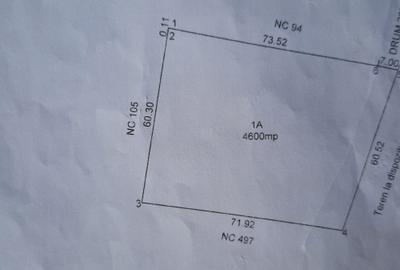 Teren Construcții intravilan de 4600 mp, în Joița - 7