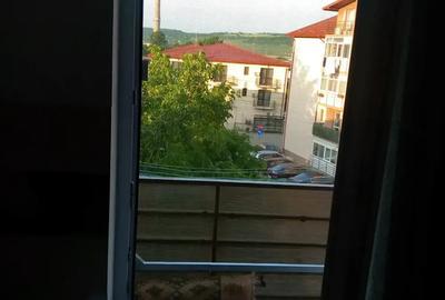 Apartament decomandat Valea Lupului - 8