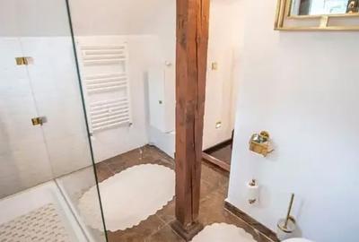 Casă superbă, consolidata si restaurata, Zona Decebal - 3