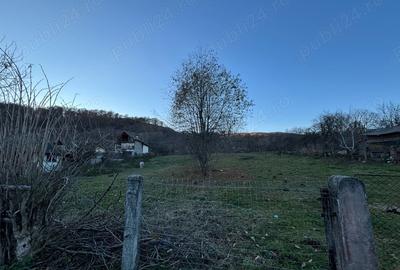 Teren de 1600 mp, în Mihăești - 3