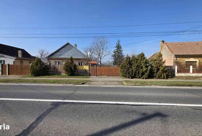 Casă cu 3 camere cu Teren 4041 Mp în Roșiori - 9