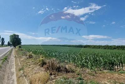 Teren de vanzare 32,000mp in Beresti-Bistrita jud. Bacau - 3