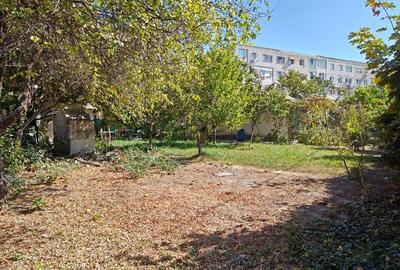 VANZARE TEREN MANGALIA - 11