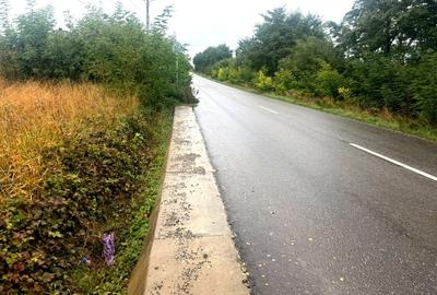 Vanzare 10.000 mp teren Liteni Suceava- la strada -potrivit proiect fonduri - 24