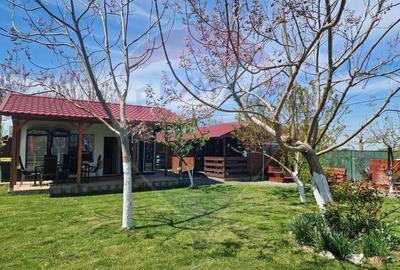 Hotel/Pensiune, de 410 mp, în Limanu - 1