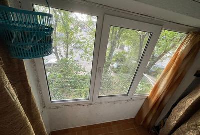 Garsonieră semidecomandată în Lăpuș Argeș - 7