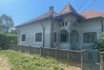 Teren plus casa in Hintesti 6060mp - 1