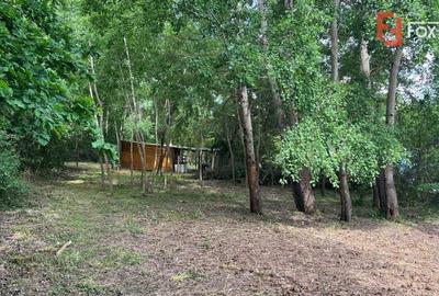 Teren de vanzare 6000 mp cu iesire la Lac Surduc - 7