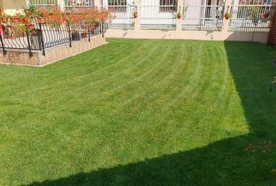 Casă individuală cu 4 camere cu Canalizare în Găvana Platou - 2