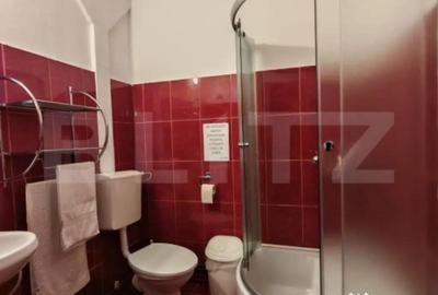 Casă cu 7 camere cu Teren 3800 Mp în Glăjărie - 16