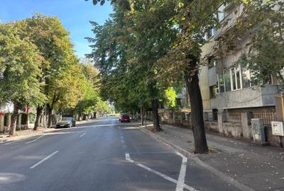 Vila renovată 2025 cu finisaje premium - 4