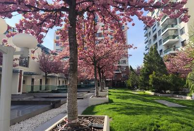 Apartament cu 2 camere semidecomandat în Barbu Văcărescu - 21