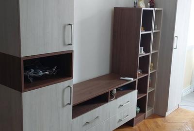 Apartament cu 2 camere semidecomandat în Runcu - 14