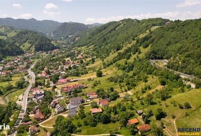 Spațiu comercial, în Moieciu