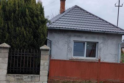 Casă cu 3 camere cu Teren 1300 Mp în Sălacea - 8