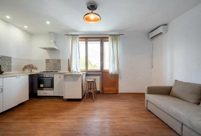 Vanzare garsoniera Dr. Felix - 10