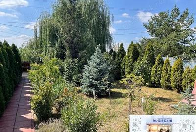 Casă cu 3 camere cu Teren 640 Mp în Traian - 11