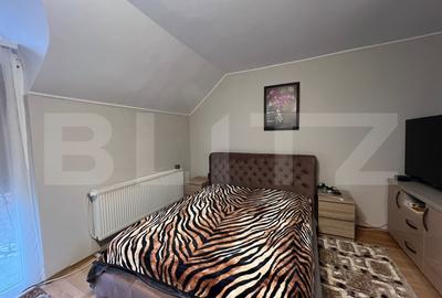 Casa spatioasa P+M, 6 camere, 236 mp, in cartierul Titulescu - 7