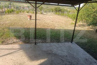 Casa construc?ie noua suprafa?a de 140 mp o terasa de 30 - 6