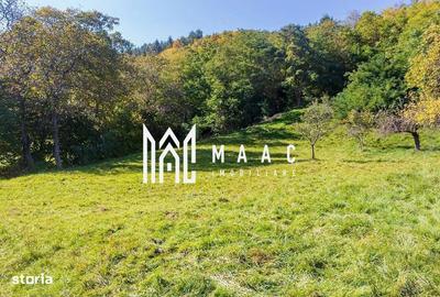 Spațiu comercial, în Paltin - 3