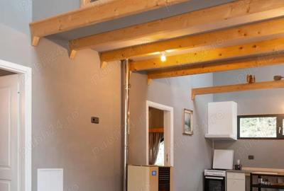 Vand casa la munte in Baisoara -Cluj - 4