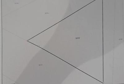 RECO teren Osorhei - 3
