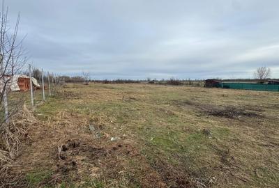 Teren Construcții intravilan de 1319 mp, în Giroc - 4