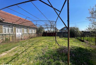 Casă cu 3 camere cu Teren 1500 Mp în Saca - 5