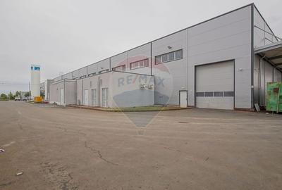 Hală industrială 5.000–12.000 mp de închiriat, Ghimbav - 2