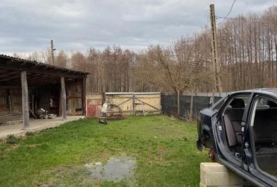 Casă cu 4 camere cu Teren 3100 Mp în Câmpuri - 8