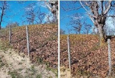 Teren de 2894 mp, în Vistieru - 7