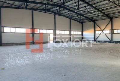 Hala industriala 600 mp, curte 1398 mp, parcare, toate utilitatile - Ghiroda - 3