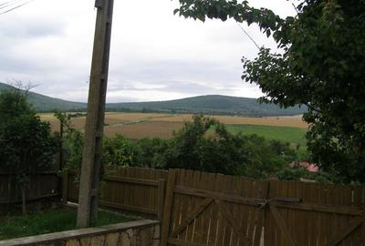 Teren de 2750 mp, în Central - 5