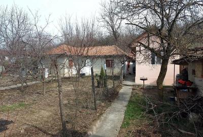 Casă cu 3 camere cu Teren 1650 Mp în Racovițeni - 7