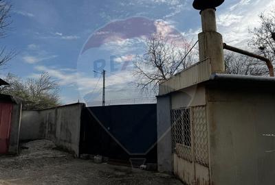 Casa de vanzare cu livada si piscina - Giurgiu - 21