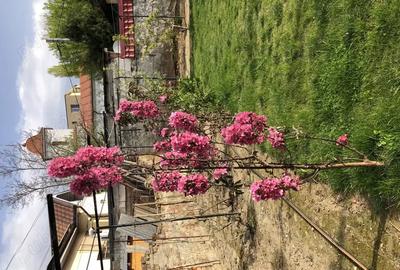 Casă cu 5 camere în Central - 6