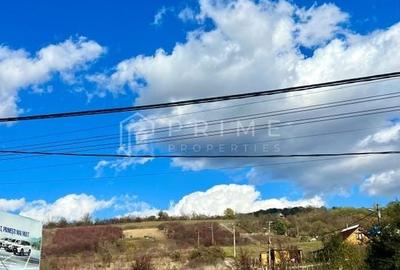 Teren cu potențial multiplu de dezvoltare – Corunca, E60, 10.000 mp - 2