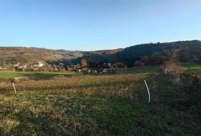 Teren de 3415 mp, în Luncoiu de Sus - 3