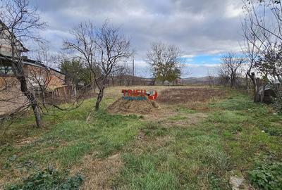 Casă cu 2 camere cu Teren 974 Mp în Micești - 1