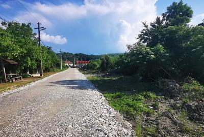 Teren intravilan 5 hectare comasat Bocsa 6 euro mp negociabil - 2