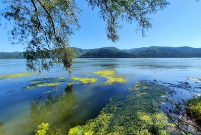 OFERTA!!!, teren cu iesire la Dunare, 1000mp, Fs aprox 17m - 7