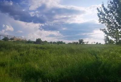 Teren intravilan 5 hectare comasat Bocsa 6 euro mp negociabil - 7