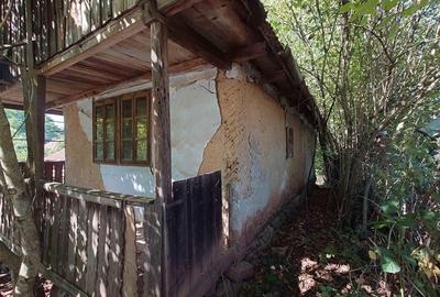 Teren intravilan cu potential, casa si anexe in Lunca - 5